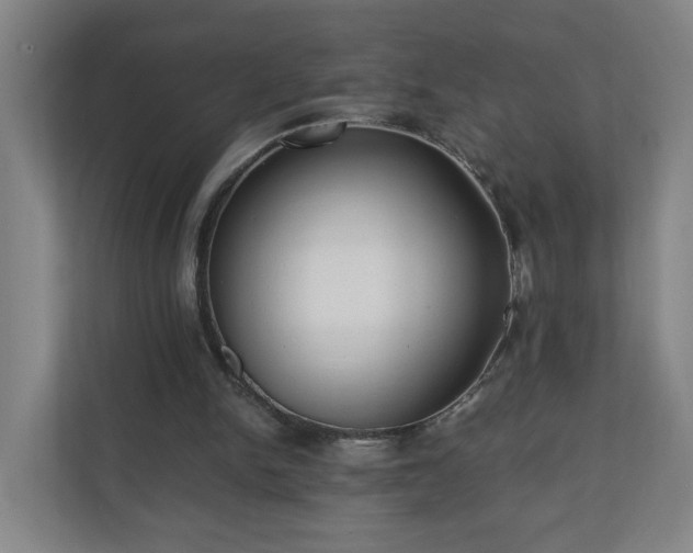 X0000110670150200906191352