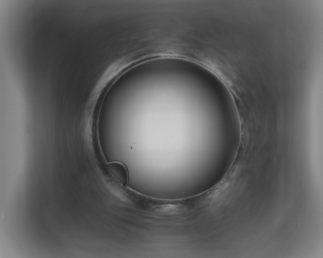 X0000110670151200906191352