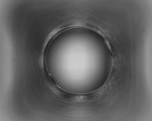 X0000110670152200906191352