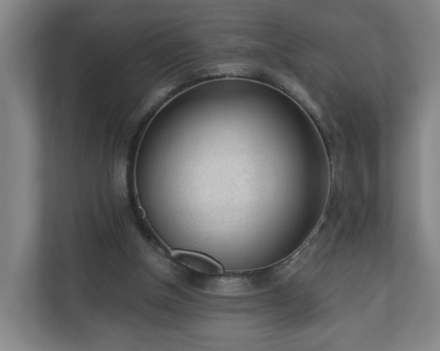 X0000110670154200906191352