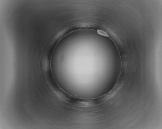 X0000110670164200906191352