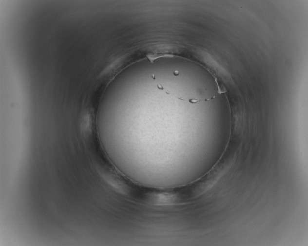 X0000110670165200906191352