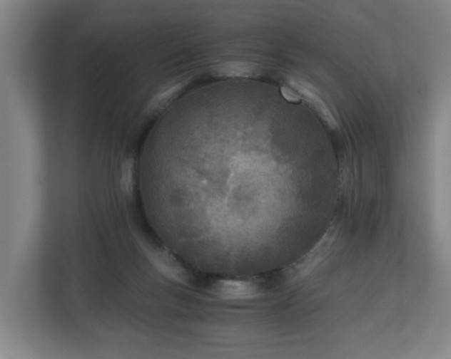 X0000110670167200906191352