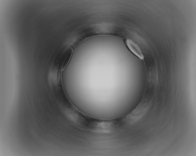 X0000110670168200906191352
