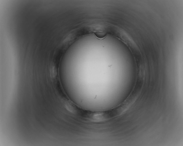 X0000110670173200906191352