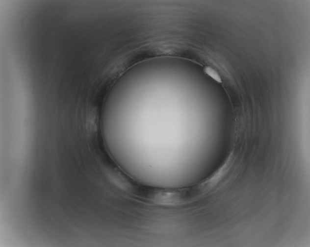 X0000110670174200906191352
