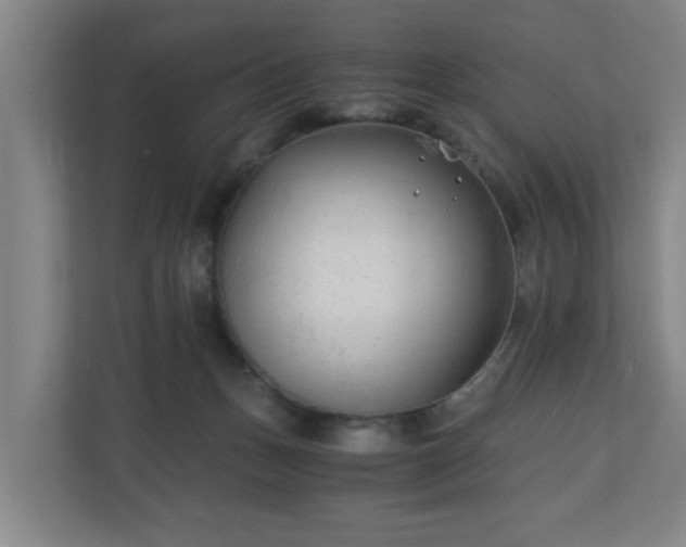 X0000110670175200906191352