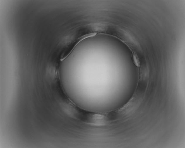 X0000110670176200906191352