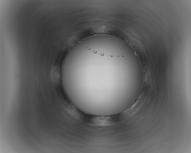 X0000110670179200906191352