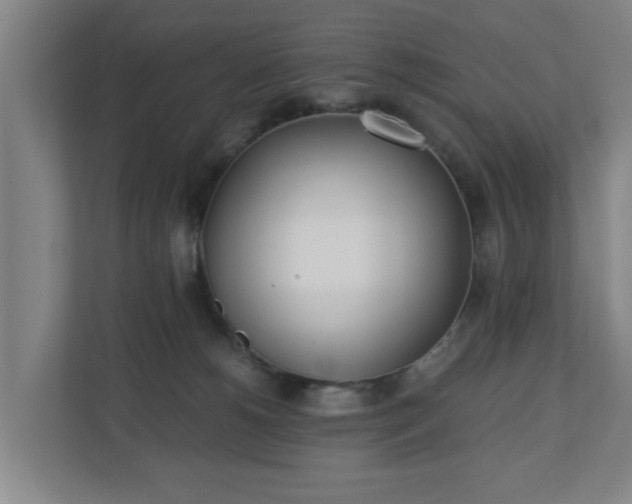 X0000110670180200906191352