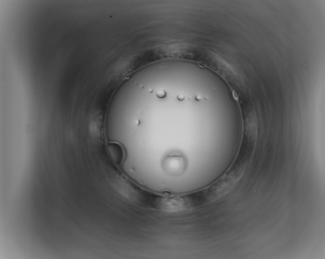 X0000110670181200906191352