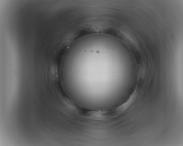X0000110670182200906191352