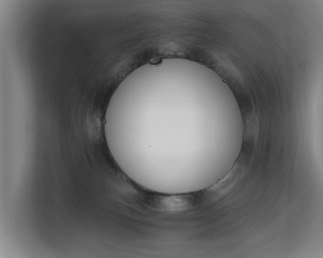 X0000110670183200906191352