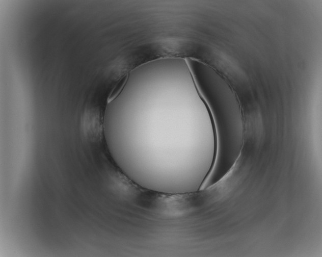 X0000110670186200906191352
