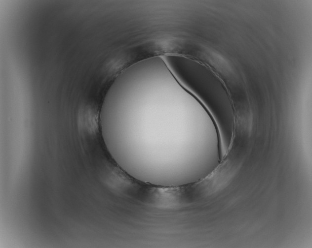 X0000110670188200906191352