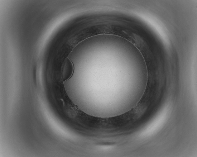 X0000110670189200906191352