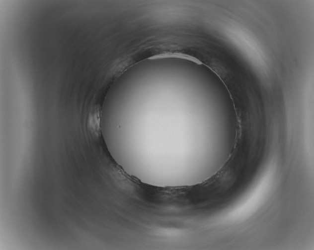 X0000110670190200906191352