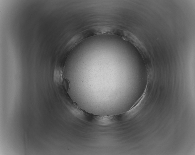 X0000110670191200906191352