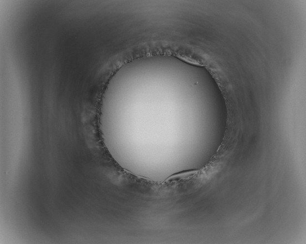 X0000110670192200906191352
