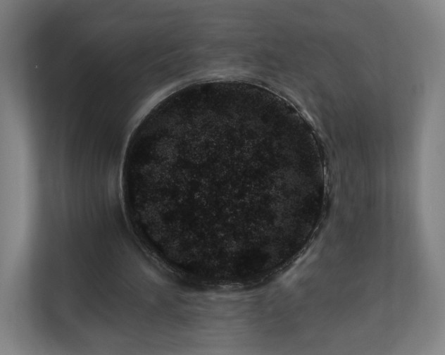 X0000110670196200906191352