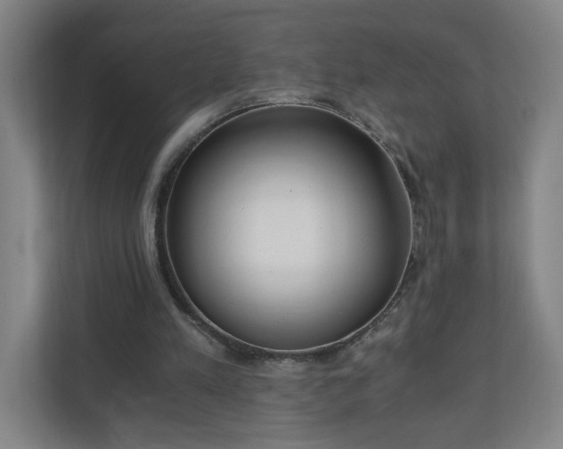 X0000110670197200906191352
