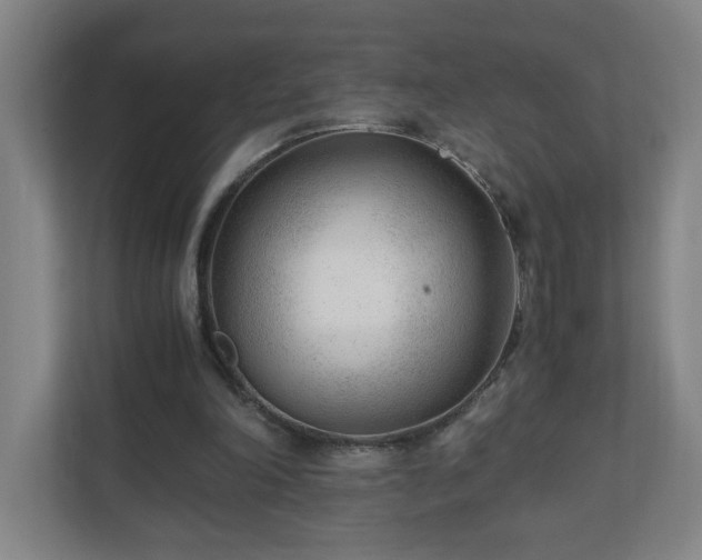 X0000110670198200906191352
