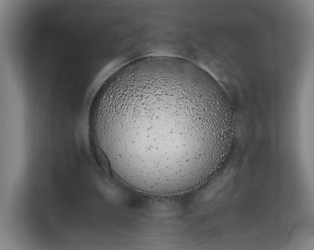 X0000110670199200906191352