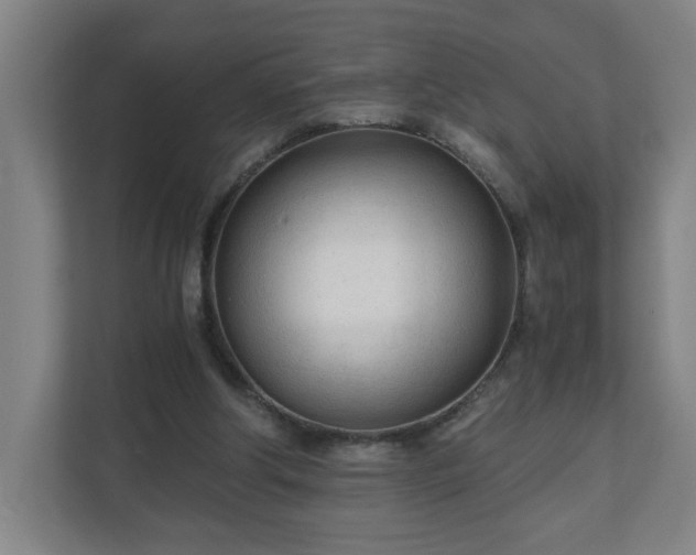 X0000110670202200906191352