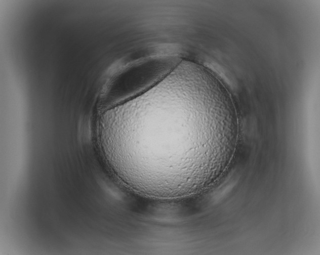 X0000110670203200906191352