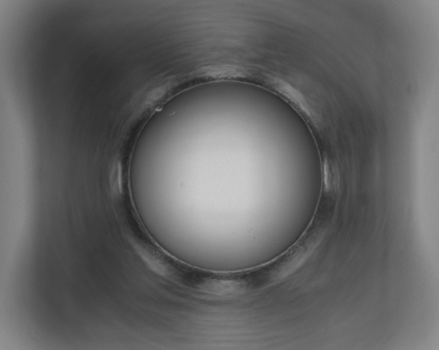 X0000110670205200906191352