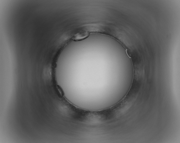 X0000110670207200906191352