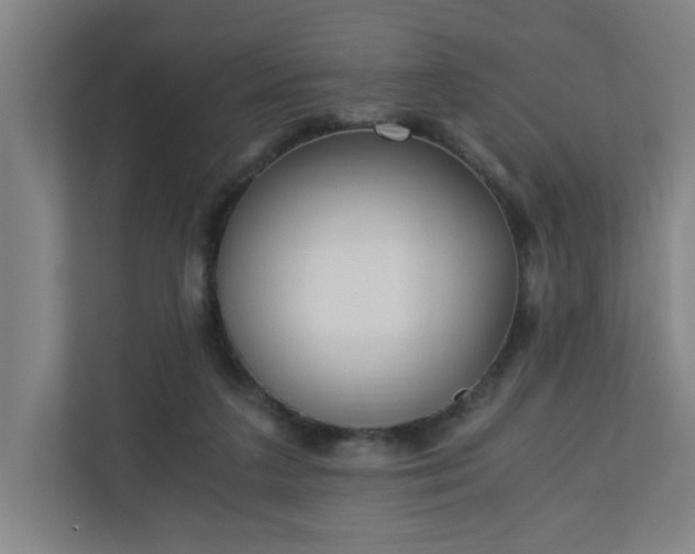 X0000110670211200906191351