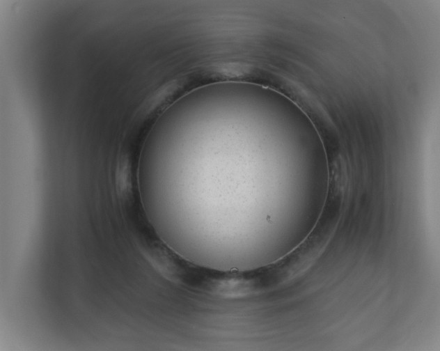 X0000110670212200906191351