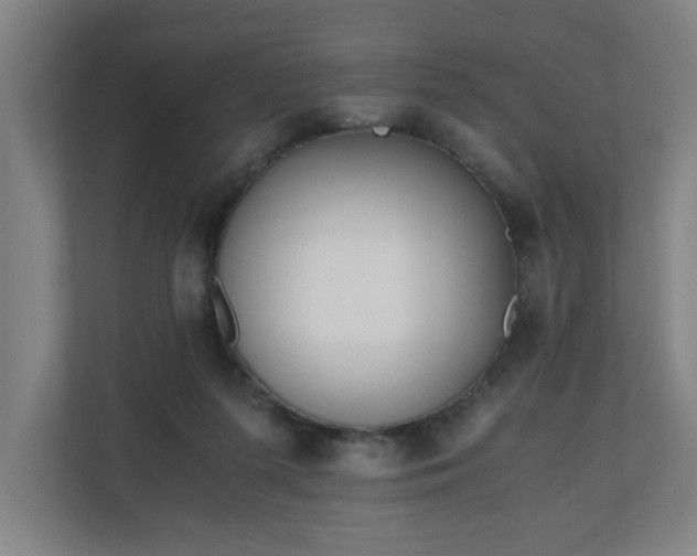 X0000110670215200906191351