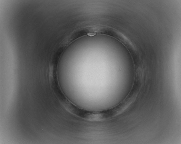 X0000110670217200906191351