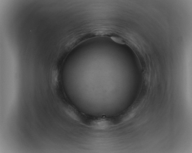 X0000110670219200906191351