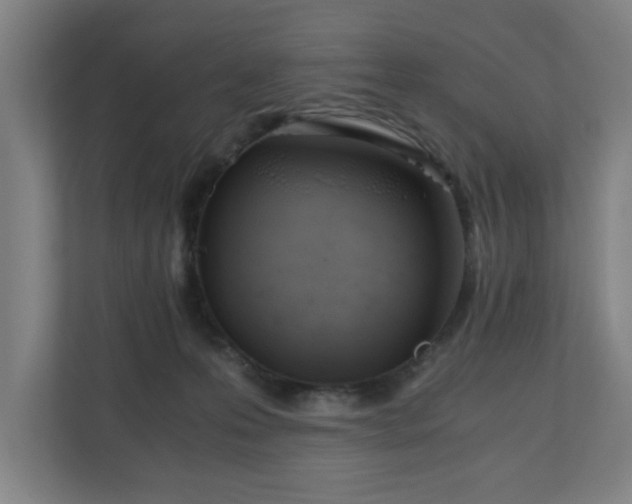 X0000110670223200906191351