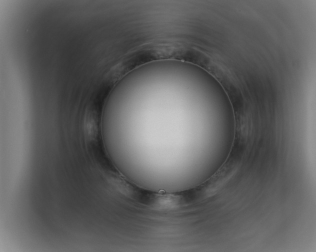 X0000110670226200906191351