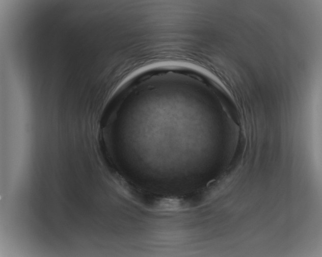 X0000110670227200906191351