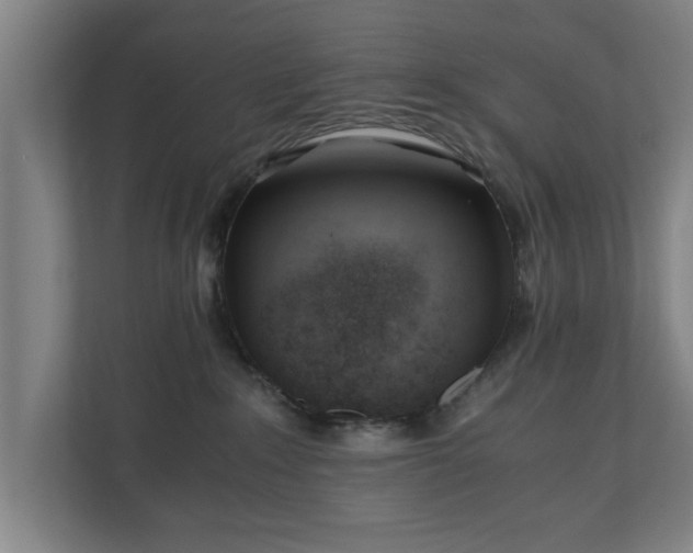 X0000110670235200906191351