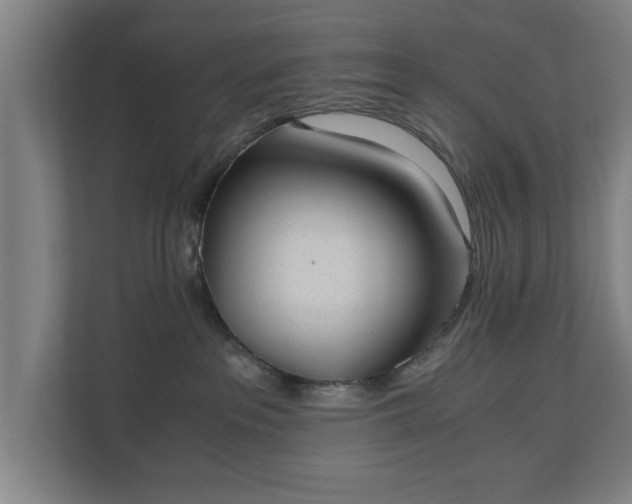 X0000110670237200906191351