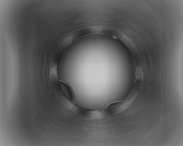 X0000110670238200906191351