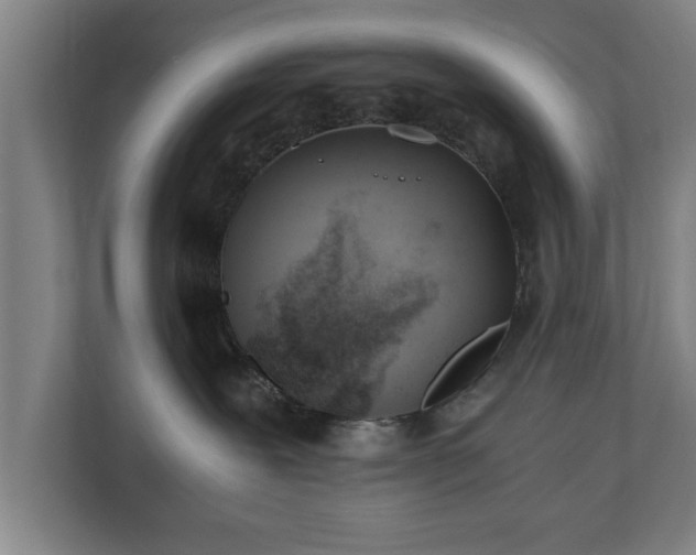 X0000110670239200906191351