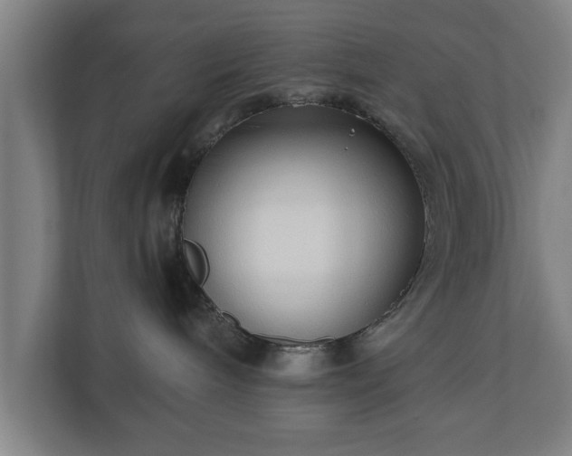 X0000110670240200906191351