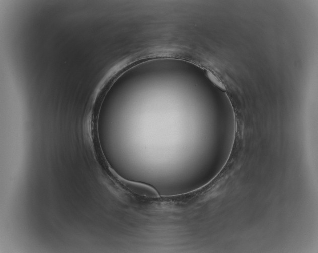 X0000110670244200906191351