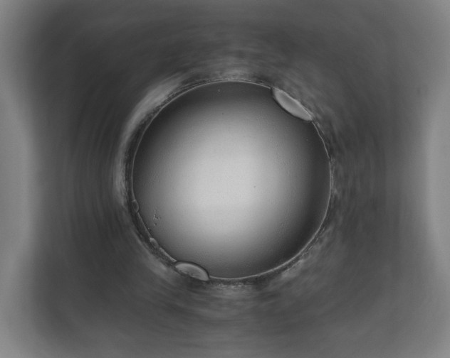 X0000110670245200906191351