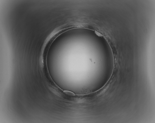 X0000110670246200906191351
