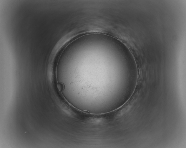 X0000110670247200906191351