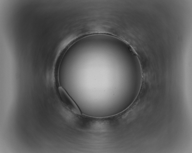 X0000110670248200906191351