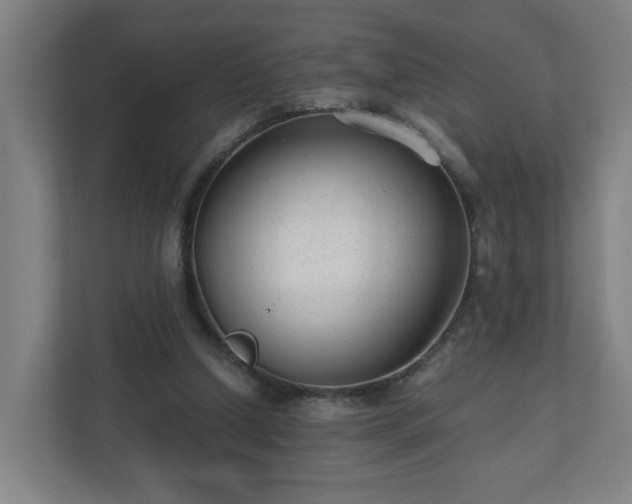 X0000110670250200906191351